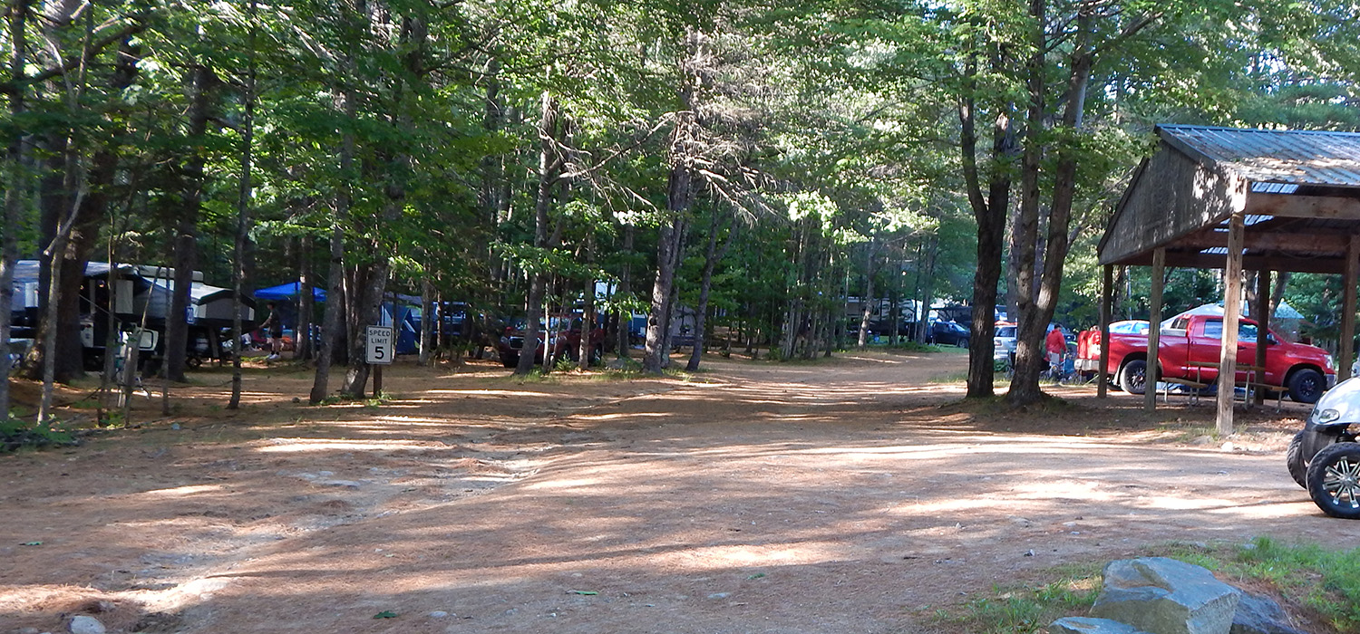 A row of campsites at Stonybrook Campground