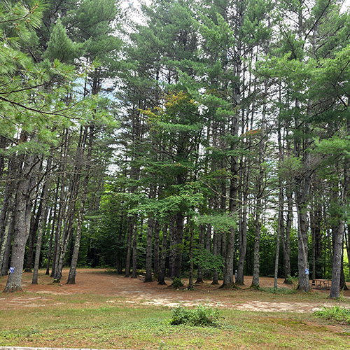 Spacious campsites at Stonybrook Campground