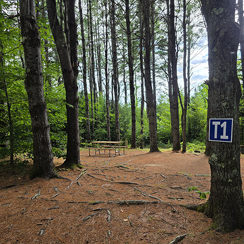 Tent site at Stonybrook Campground